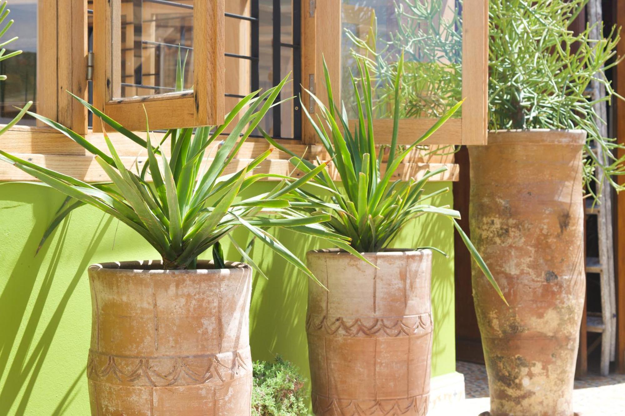 Riad Le Khan Mogador Essaouira Luaran gambar